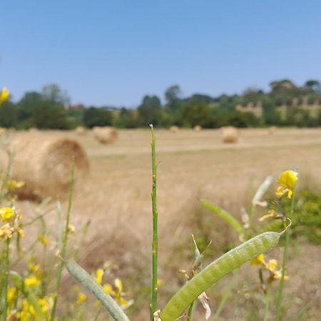 Montepulciano - La Casetta Del Pian Delle Noci Acquaviva  Εξωτερικό φωτογραφία