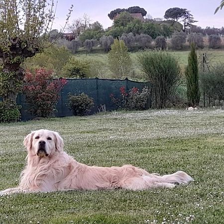 Montepulciano - La Casetta Del Pian Delle Noci Acquaviva  Εξωτερικό φωτογραφία