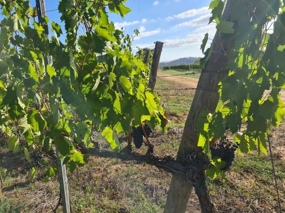 Montepulciano - La Casetta Del Pian Delle Noci Acquaviva  Εξωτερικό φωτογραφία