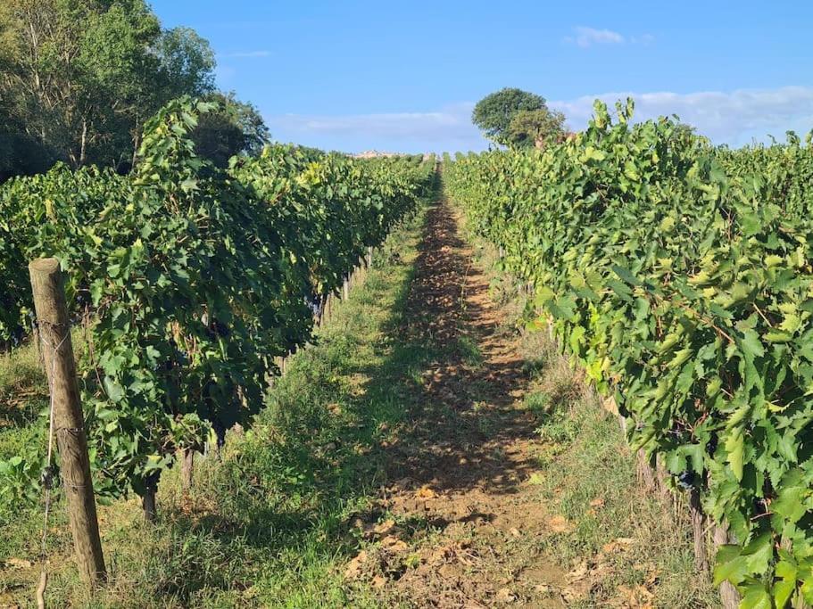 Montepulciano - La Casetta Del Pian Delle Noci Acquaviva  Εξωτερικό φωτογραφία