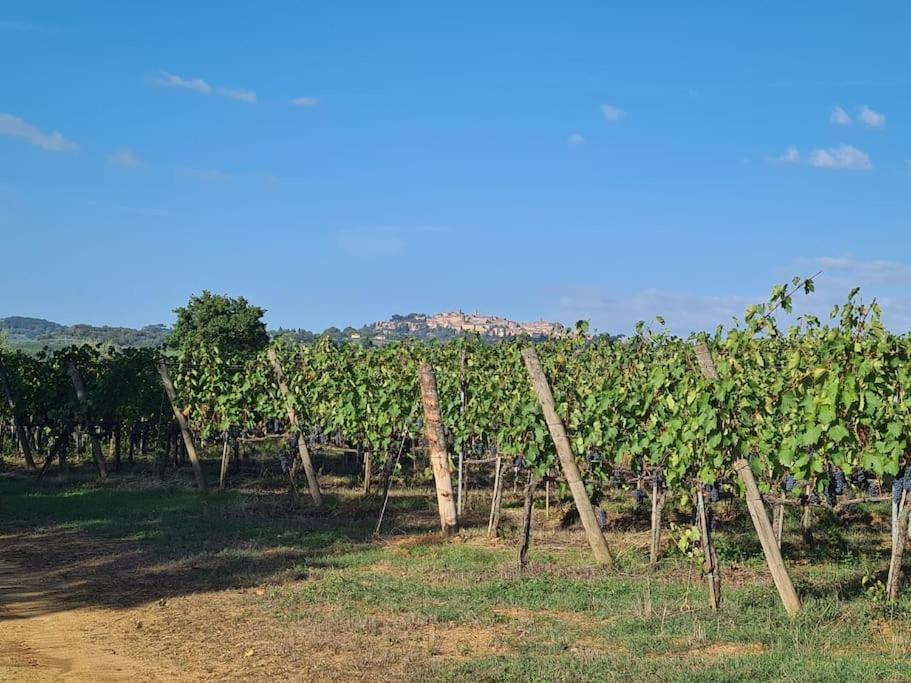 Montepulciano - La Casetta Del Pian Delle Noci Acquaviva  Εξωτερικό φωτογραφία