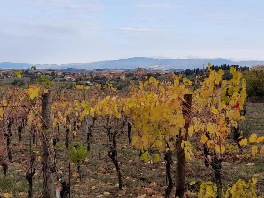 Montepulciano - La Casetta Del Pian Delle Noci Acquaviva  Εξωτερικό φωτογραφία