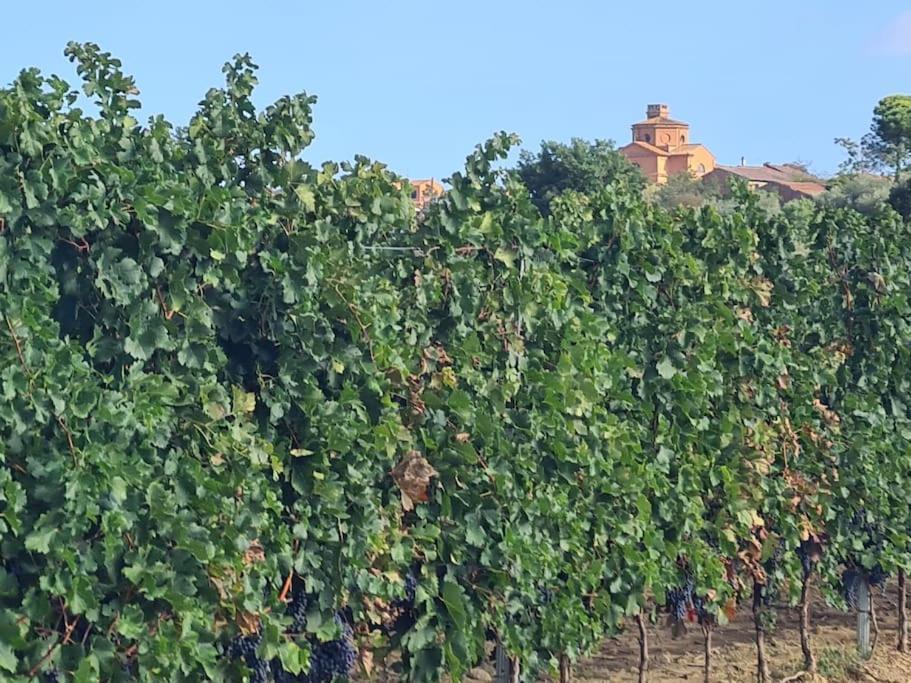 Montepulciano - La Casetta Del Pian Delle Noci Acquaviva  Εξωτερικό φωτογραφία