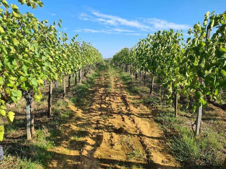 Montepulciano - La Casetta Del Pian Delle Noci Acquaviva  Εξωτερικό φωτογραφία