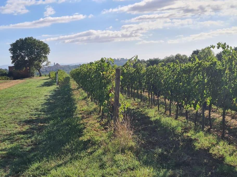 Montepulciano - La Casetta Del Pian Delle Noci Acquaviva  Εξωτερικό φωτογραφία