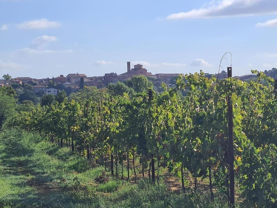 Montepulciano - La Casetta Del Pian Delle Noci Acquaviva  Εξωτερικό φωτογραφία