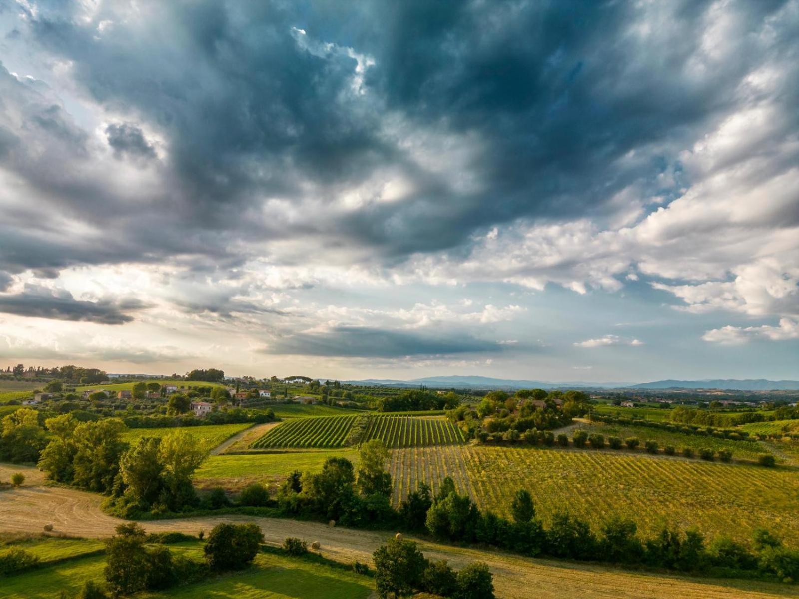 Montepulciano - La Casetta Del Pian Delle Noci Acquaviva  Εξωτερικό φωτογραφία