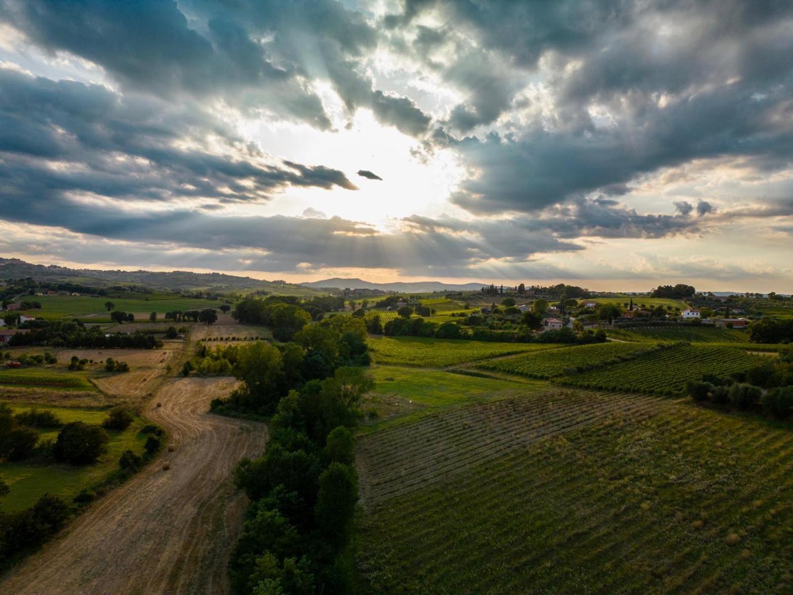 Montepulciano - La Casetta Del Pian Delle Noci Acquaviva  Εξωτερικό φωτογραφία