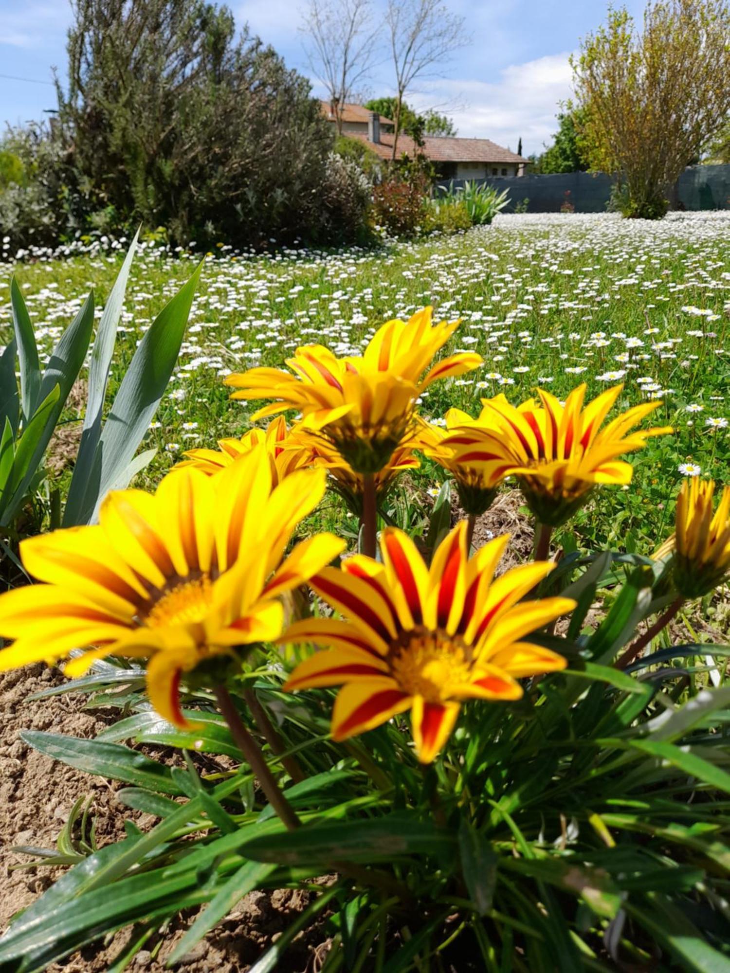 Montepulciano - La Casetta Del Pian Delle Noci Acquaviva  Εξωτερικό φωτογραφία